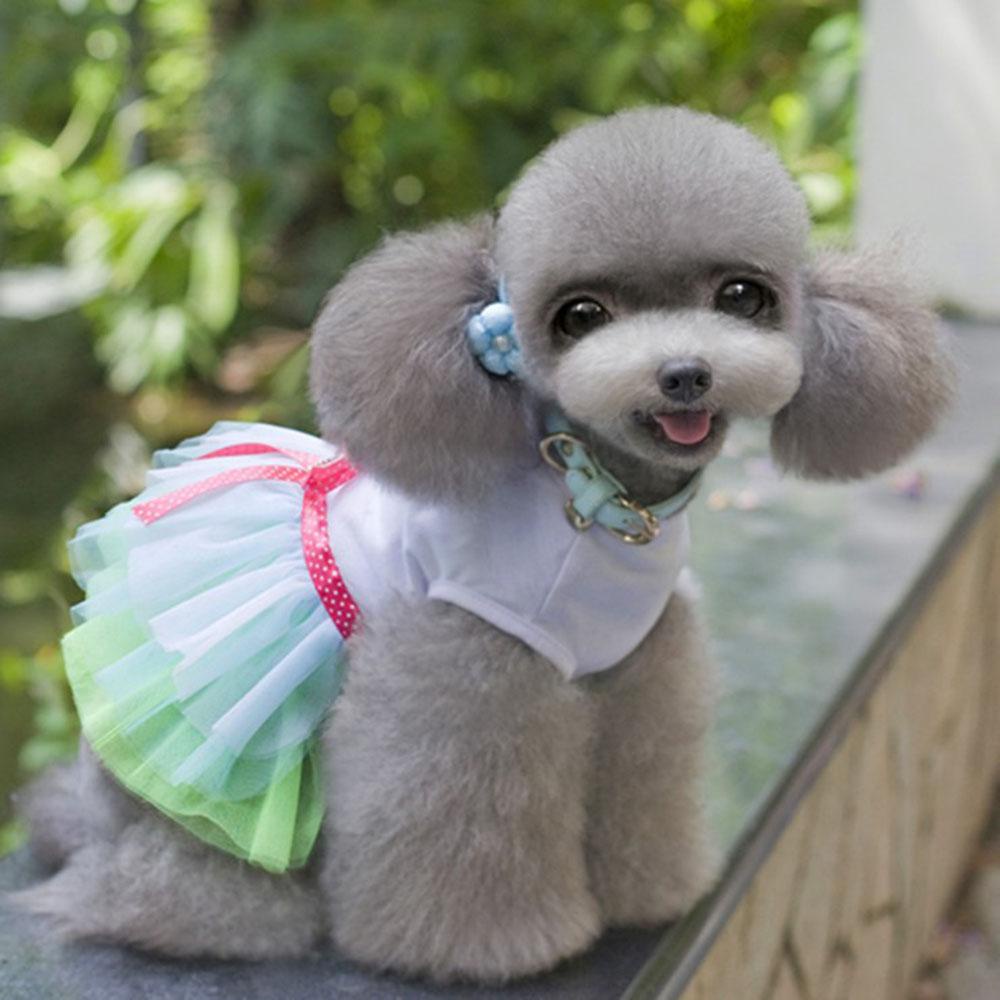 Layor1 Đầm Công Chúa Họa Tiết Đôi Môi Và Trái Tim In Chữ Kiss Me Thời Trang Xuân Hè Cho Thú Cưng