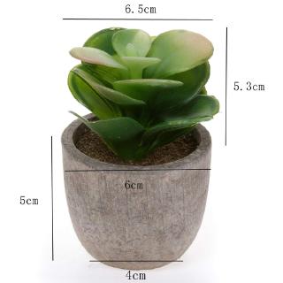 Set 3 Cây Sen Đá Giả Dùng Để Trang Trí
