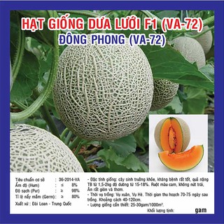 Hạt giống Dưa Lưới F1 Đông Phong (VA.72) – 10 Hạt
