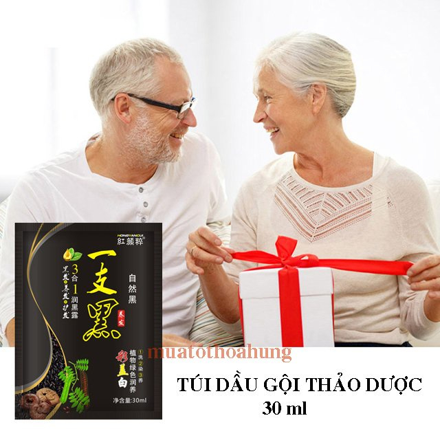 Dầu Gội Nhuộm Màu Tóc Thảo Dược Nuôi Dưỡng Da Đầu Phủ Bạc, Nâu Nhạt, Nâu Đậm, Đỏ Tím