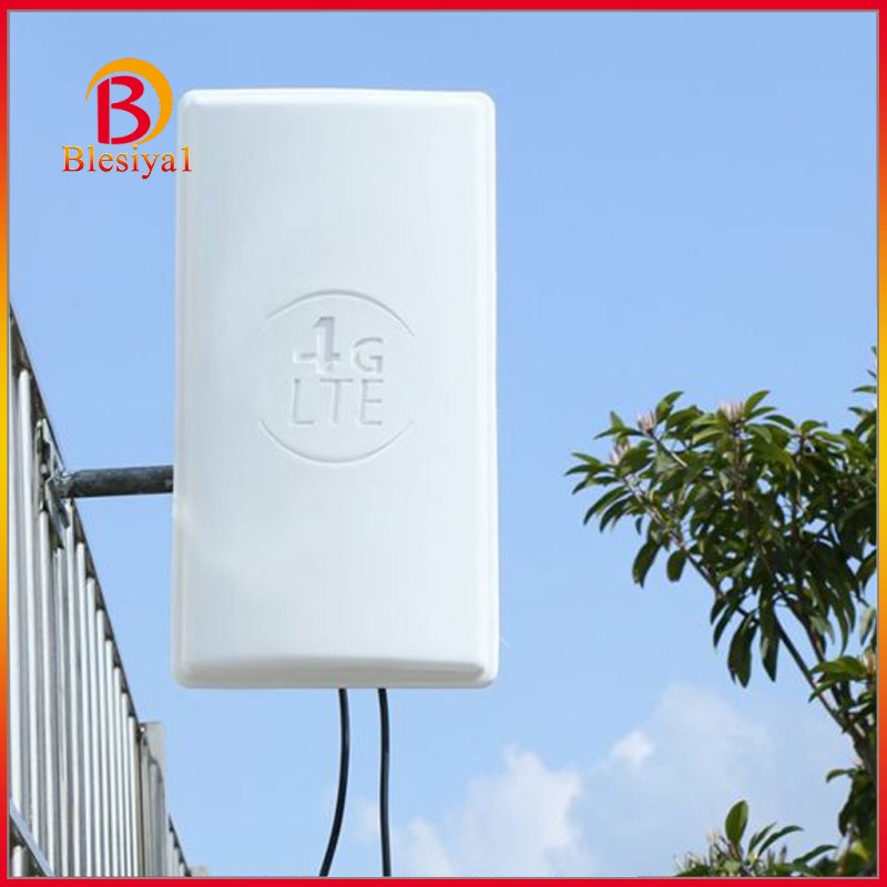 Ăng Ten Tăng Cường Tín Hiệu Ngoài Trời Blesiya1 4g Lte Sma N | BigBuy360 - bigbuy360.vn
