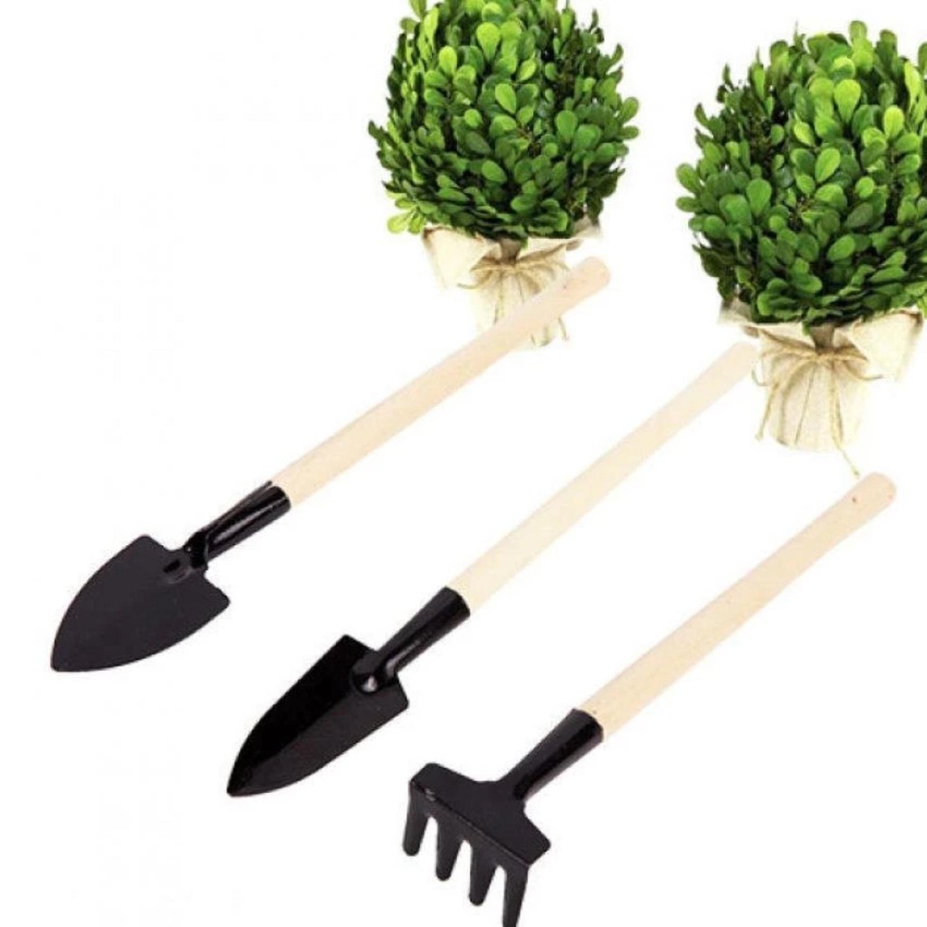 Bộ 3 món dụng cụ làm vườn mini để trồng cây cảnh, sen đá, xương rồng, bonsai