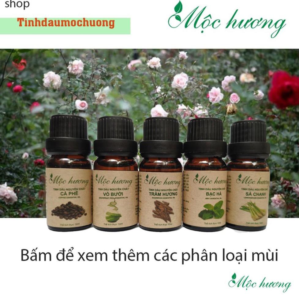 Tinh dầu tràm Mộc Hương nguyên chất có kiểm định