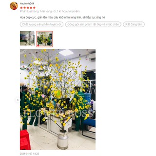 Sỉ 5 kí hoa mai, đào giả (được chọn màu, nụ, lá, kẽm)