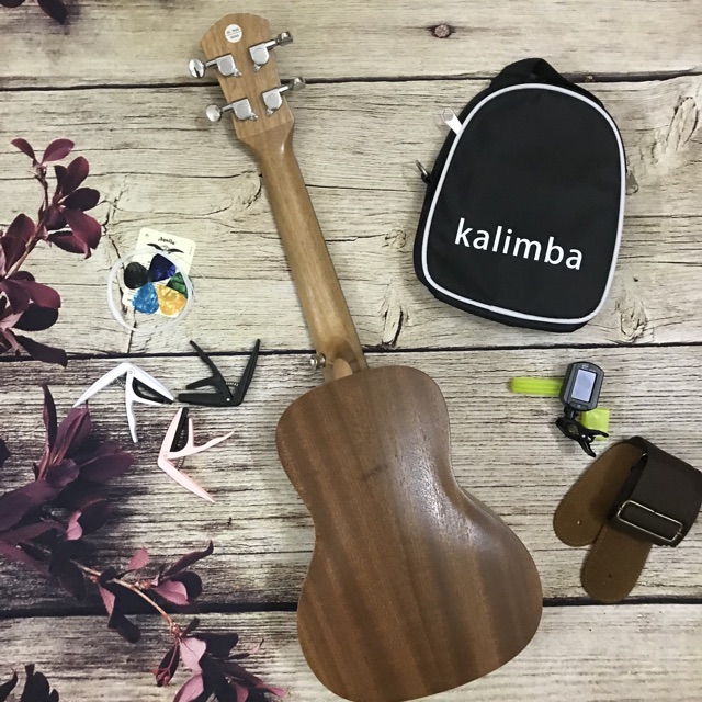 (GIẢM GIÁ)ĐÀN UKULELE CONCERT MG5 HOẠ TIẾT