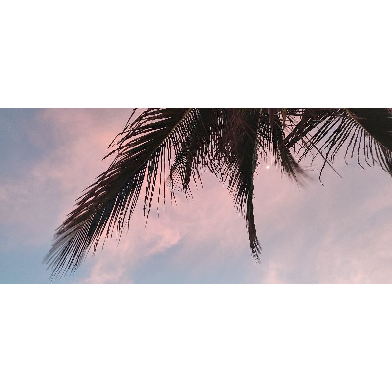 Sản phẩm live 50k