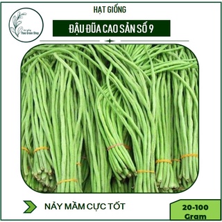 Hạt Giống Đậu Đũa Xanh Cao Sản