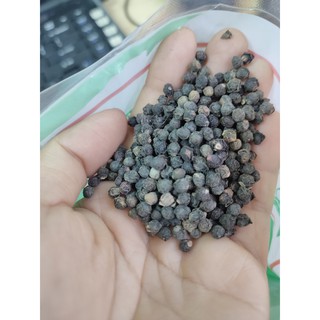 HẠT GIỐNG RAU MÙNG TƠI 20GRAM
