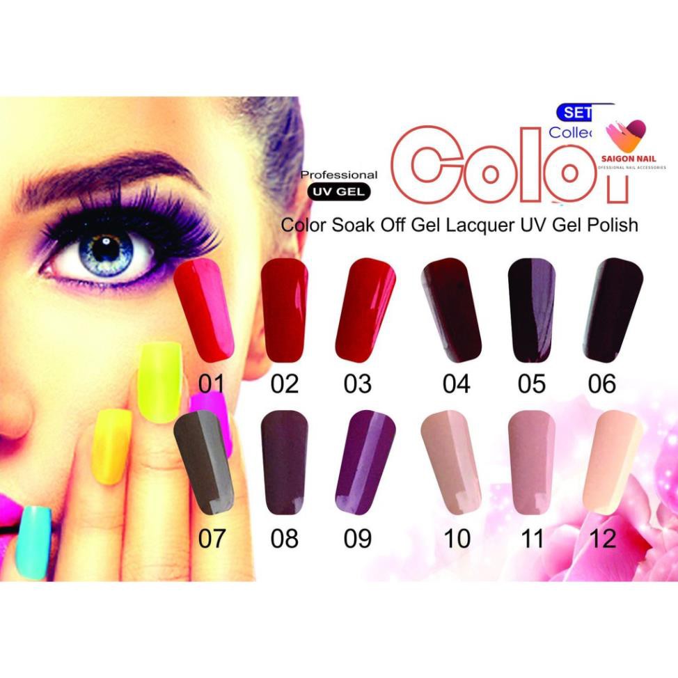 Bộ 12 chai gel (có bản lẻ ) - Collection 02