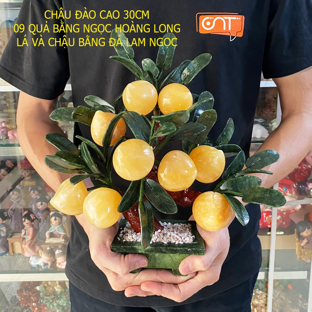 Chậu đào đá 9 quả to đẹp cao 30cm