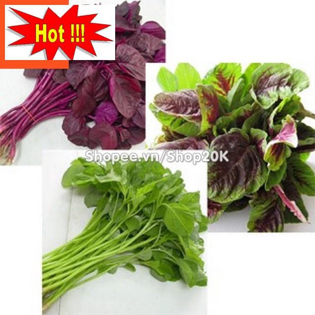 Giống Rau Dền ba màu