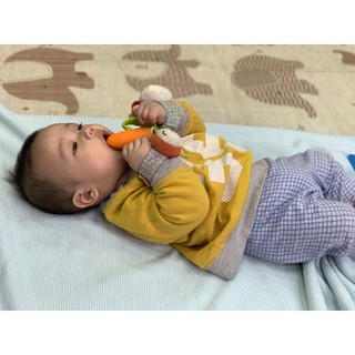 Gặm nướu hình cà rốt mềm Infantino 216216