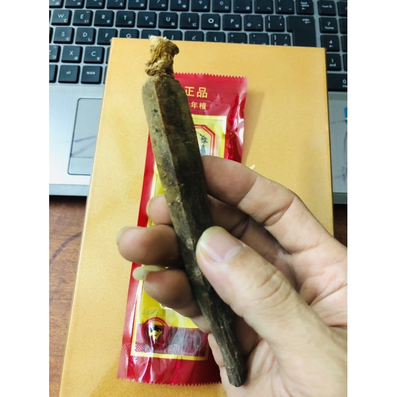 [Giá Dùng Thử] Sâm Cao Ly HQ Sấy Khô Túi 1 Củ | BigBuy360 - bigbuy360.vn