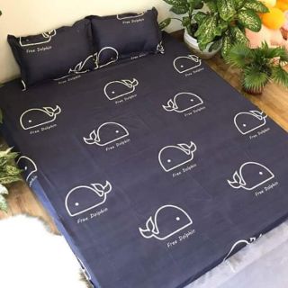 SÉT GA GỐI POLY COTTON XUẤT HÀN