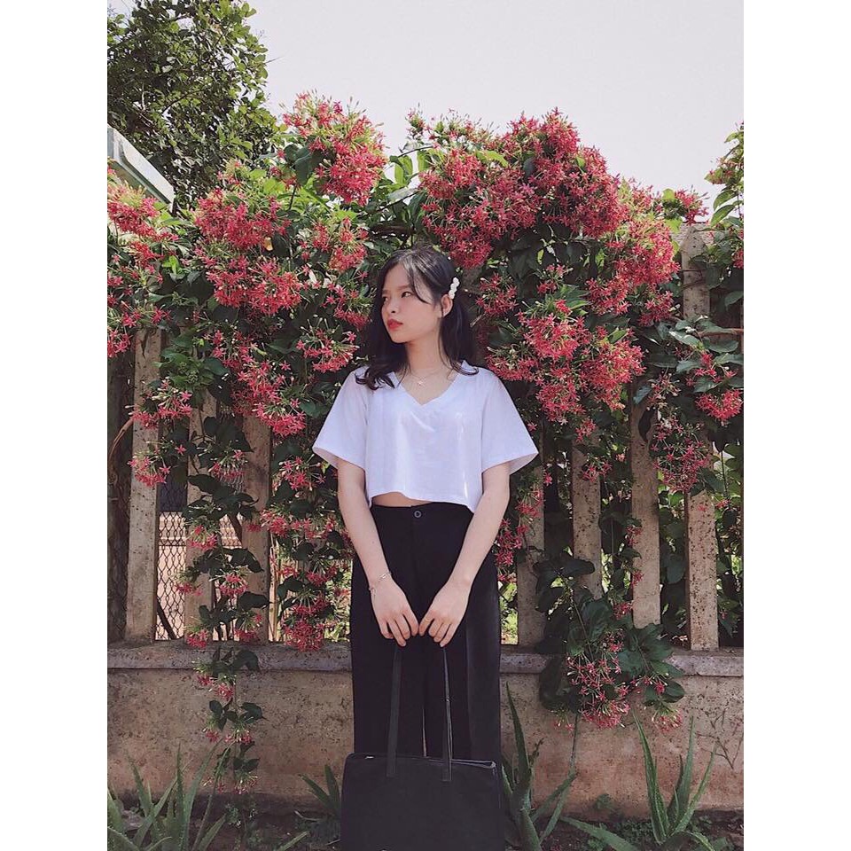 Áo croptop tay ngắn cổ tim-thun cotton