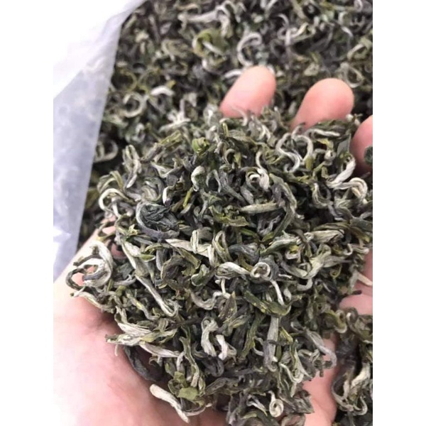 trà shan tuyết cổ thụ