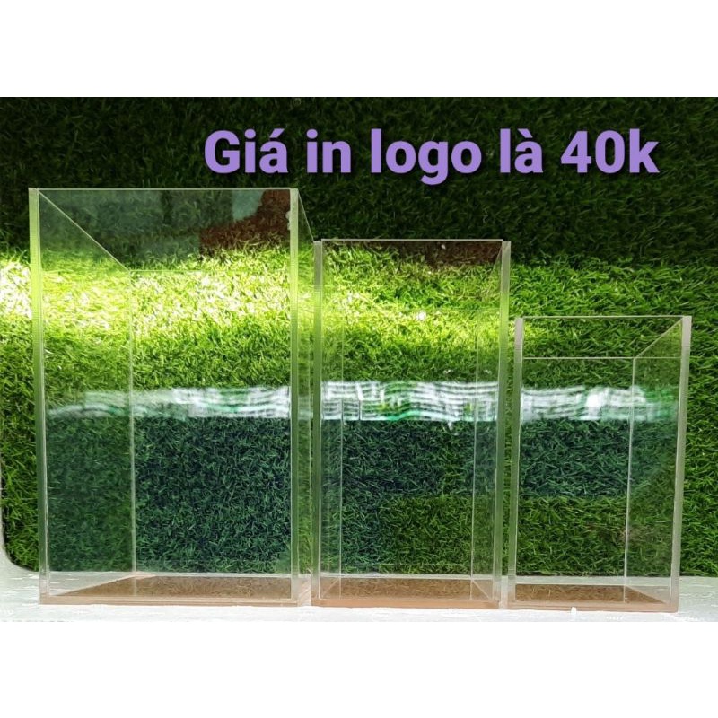Hồ cá mini siêu trong - Keo show (17 x 15 x 11)