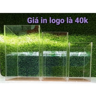 Hồ cá mini siêu trong - Keo show (17 x 15 x 11)