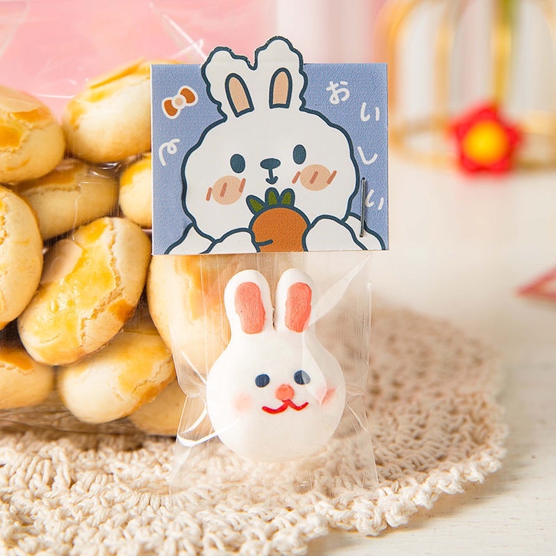 set 10 bộ túi kiếng và kẹp giấy hình gấu, hoa 3 size