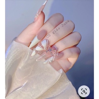 Nailbox thiết kế kèm keo và dũa