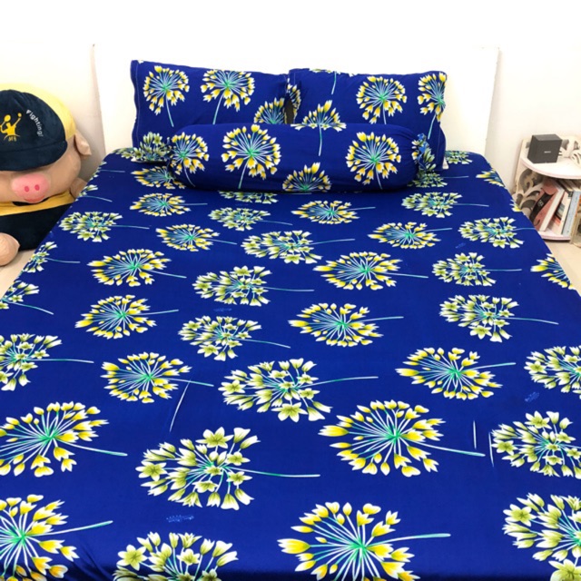 Bộ drap thun Hàn Quốc