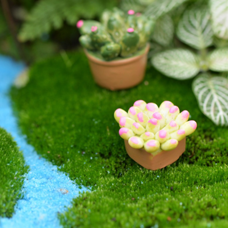 Đồ Trang Trí Hình Cây Xương Rồng Và Hoa Giả Cho Sân Vườn