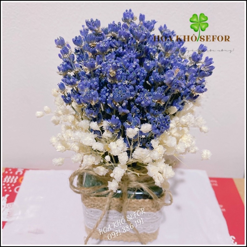 Hoa khô Lavender ❤️Lọ hoa Lavender để bàn, làm quà tặng
