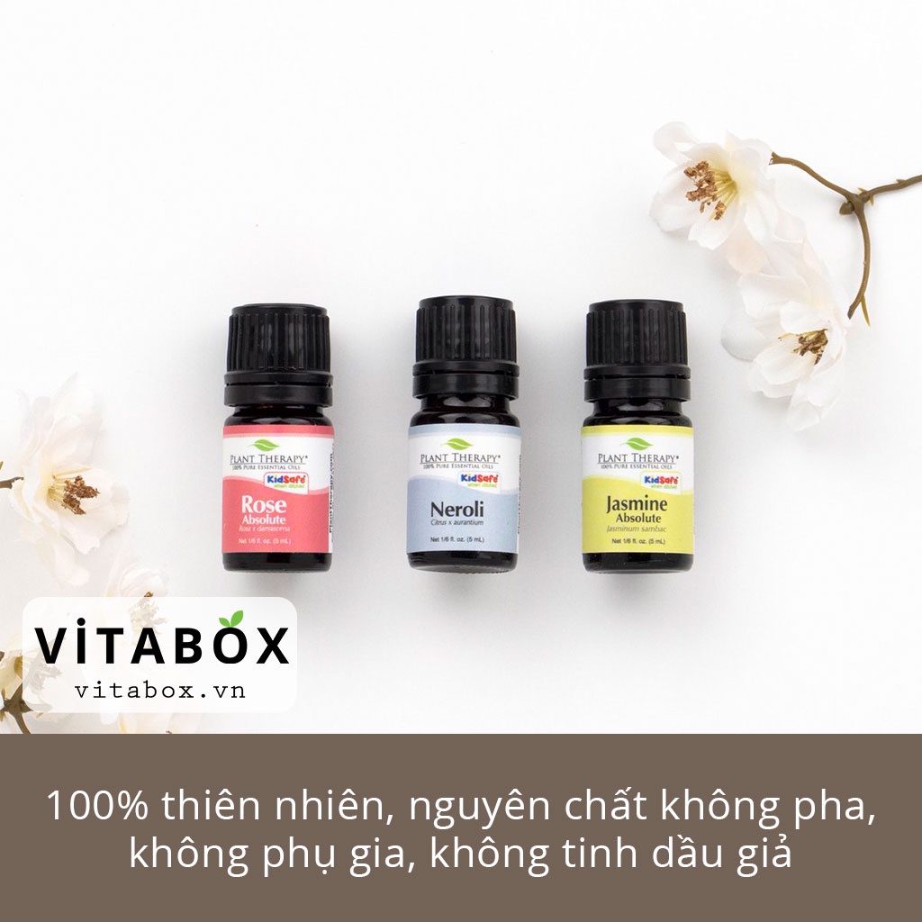 Plant Therapy - Tinh dầu nhựa thơm Myrrh (Mộc Dược) - kidsafe essential oil 5mL