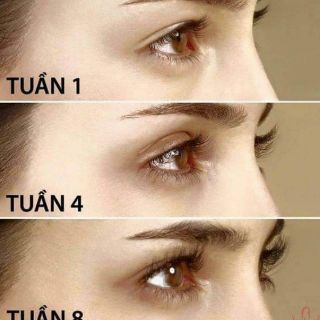 Huyết thanh Dưỡng mi Eveline 8in1