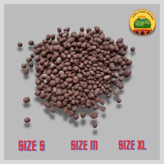 300 g Đất Nung Popper Thái Lan đủ size| Giá rẻ