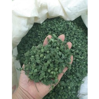 250g Nụ tam thất bao tử Loại 1