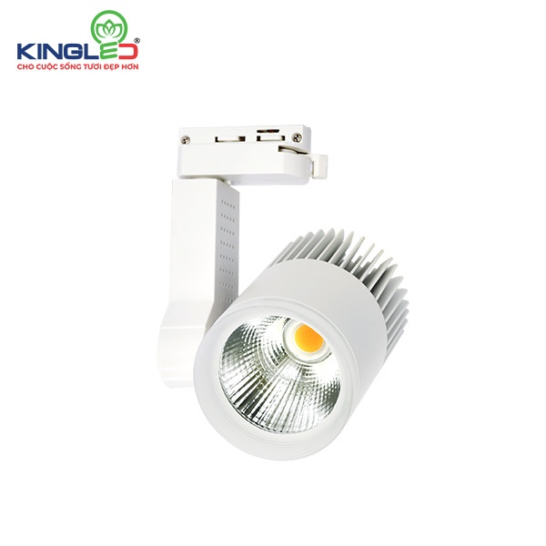 Đèn Led Rọi Ray 20W Beryl  KINGLED