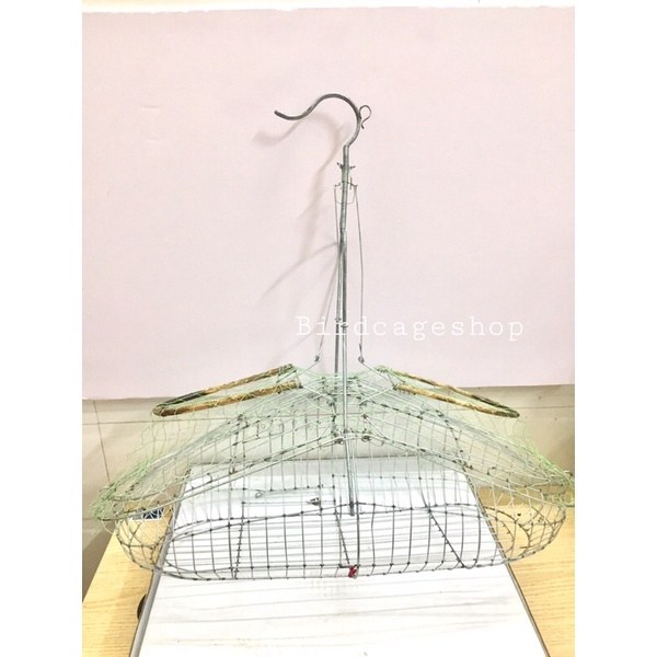 [HOT] BẪY CHÀO MÀO SÀI GÒN