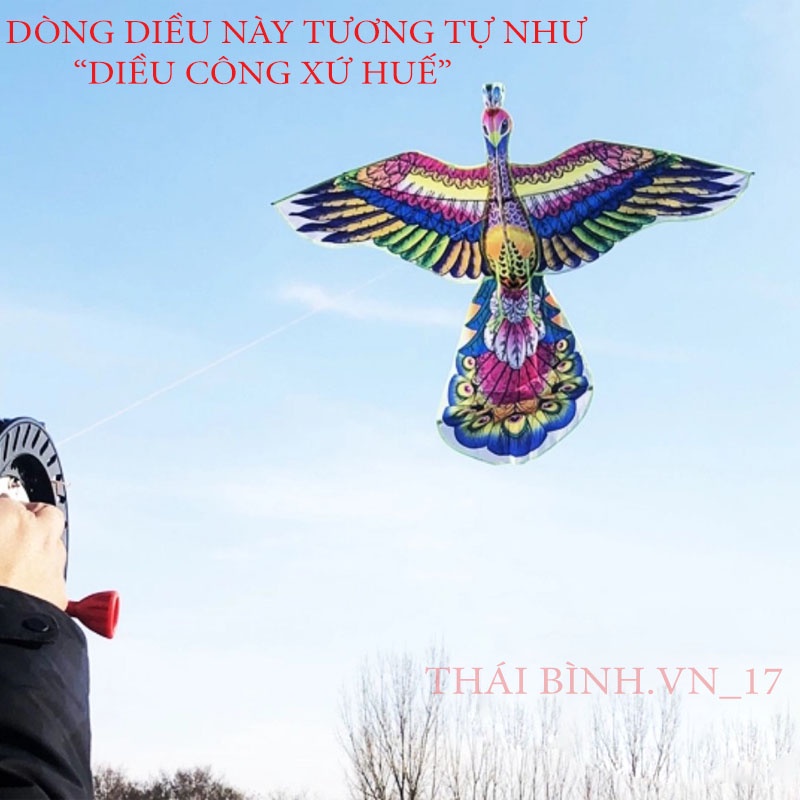 DIỀU CÔNG PHONG CÁCH XỨ HUẾ - DIỀU CỒNG SIỀU ĐẸP - THÁI BÌNH.VN_17