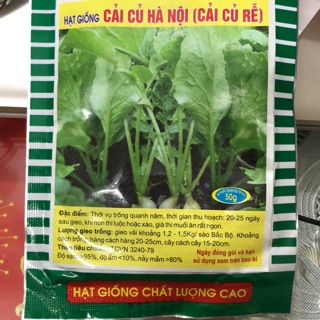 ☘ Hạt giống Cải củ Hà Nội ✅