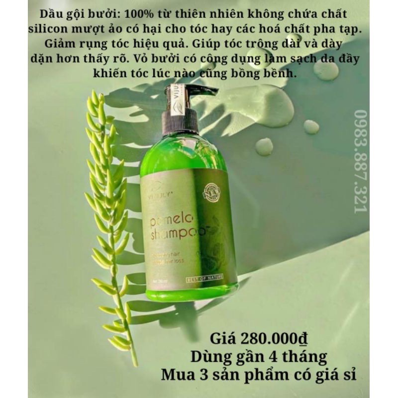 DẦU GỘI BƯỞI - POMELO SHAMPOO