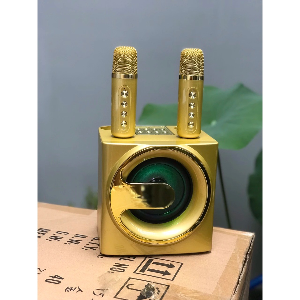 Loa Bluetooth Karaoke Su-Yord YS207 kèm 2 micro mẫu mới