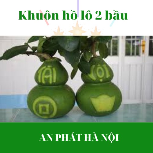 Combo 5 Khuôn tạo hình trái cây khuôn Hồ Lô 2 bầu loại mềm dùng tạo hình trái bưởi, đào tiên, dưa..., khuôn quất TÀI LỘC