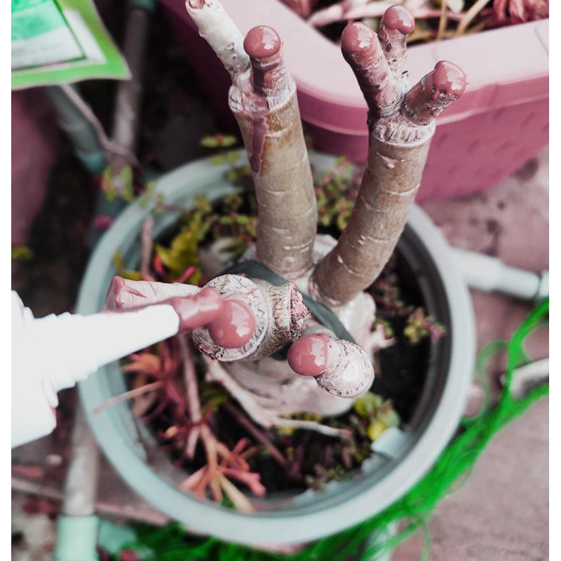 Keo Liền Da Nano100g - chứa chất sinh học liền da cây và nano bạc