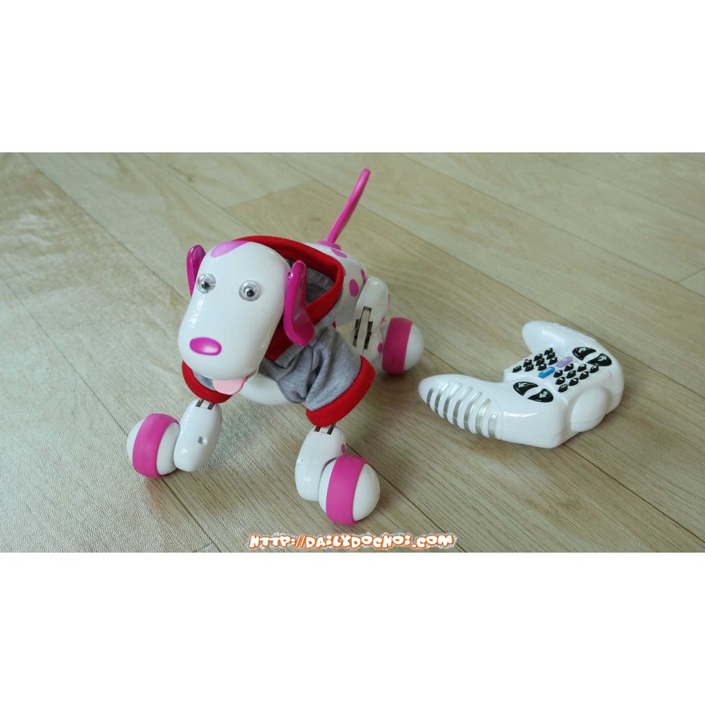 Chó Đốm SMART DOG thực hiện được nhiều động tác như thật