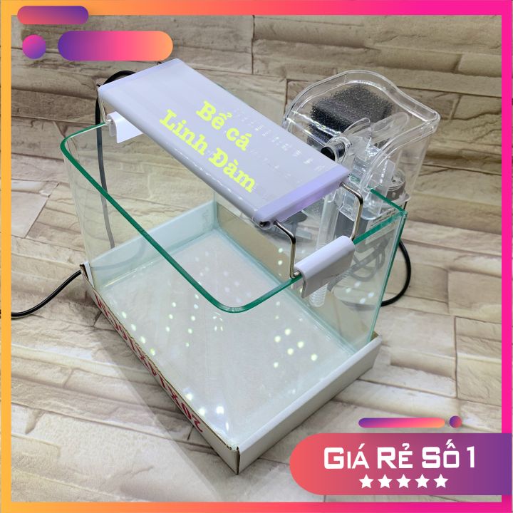 Bể Cá Chữ Nhật 20cm Kính Đúc Bo Góc Đẹp - Bể Cá Mini Dài 20cm