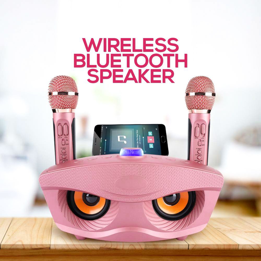 Loa Karaoke Bluetooth mini di động SD-306 loa hát karaoke đa năng + Tặng Kèm 2 Mic Không Dây - Âm bass mạnh mẽ