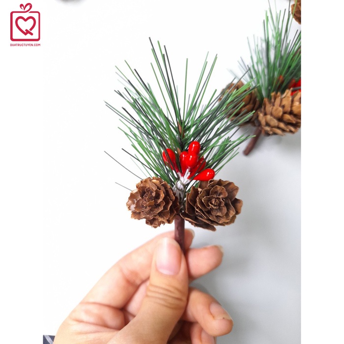 Set 10 cành thông giáng sinh DIY - phụ kiện trang trí Noel, quà tặng handmade