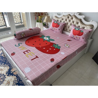 BỘ DRAP GỐI DRAP THUN Ý 5D CAO CẤP