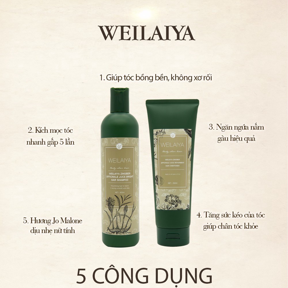 Dầu xả gừng nâu hà thủ ô WEILAIYA chống rụng kích mọc tóc 250ml