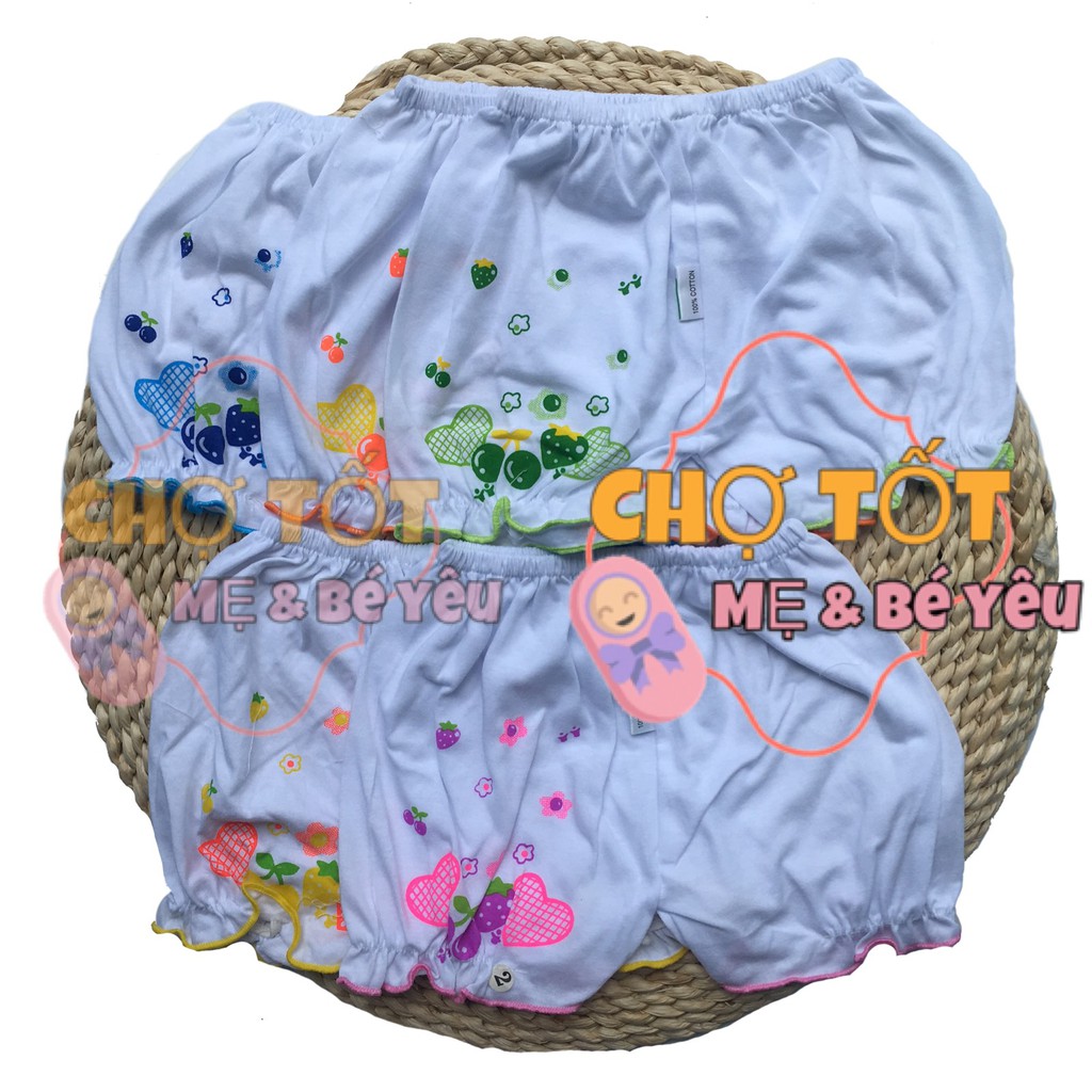 QUẦN ĐÙI BÉ GÁI COTTON BÈO 5-13KG