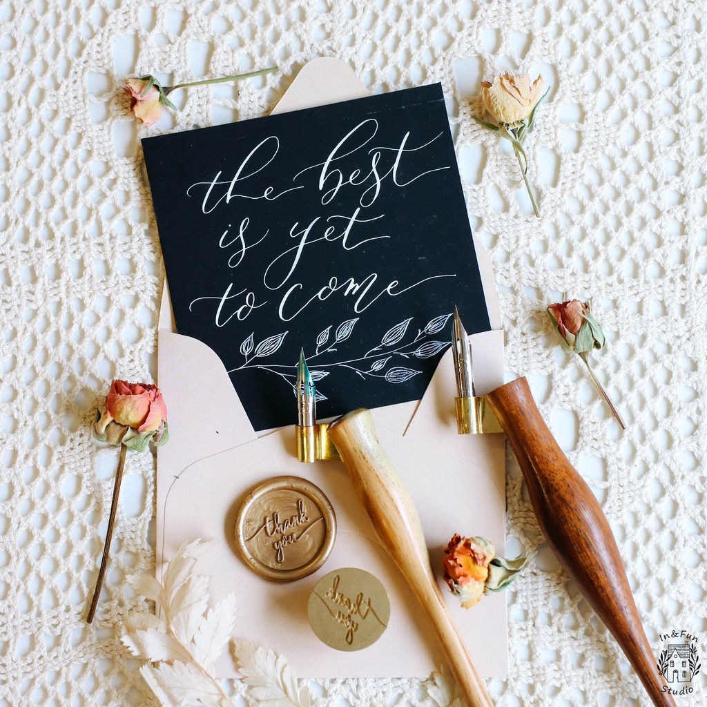 Set bút quản viết Modern Calligraphy