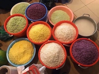 Hoa Bó Phón Xôi Cơm Màu Vàng