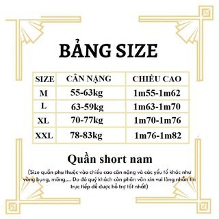 Quần Short đũi Nam lửng chất đũi ong xốp AVT | BigBuy360 - bigbuy360.vn