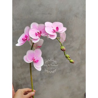 Combo set nguyên liệu làm hoa lan